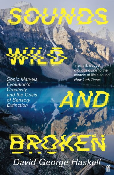 Sounds wild and broken