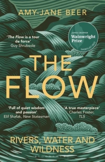The flow