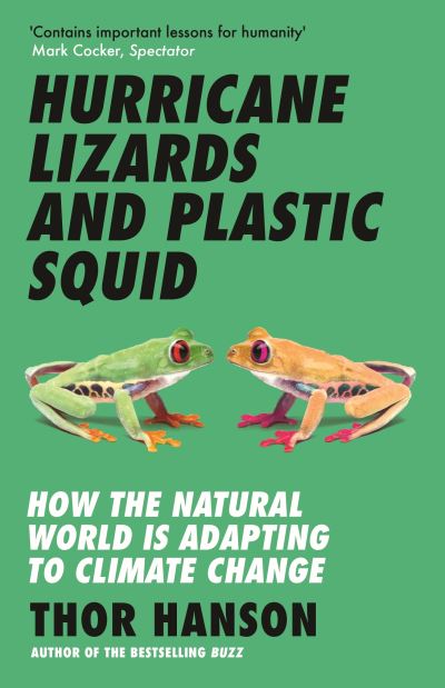 Hurricane lizards and plastic squid