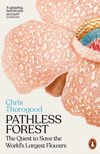 Pathless forest