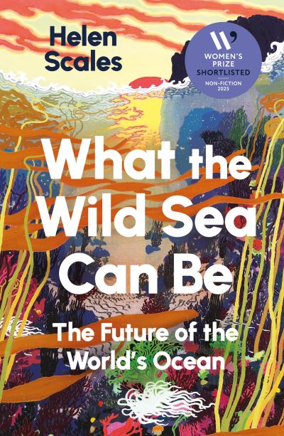 What the wild sea can be