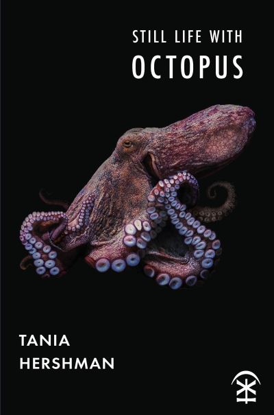 Still life with octopus
